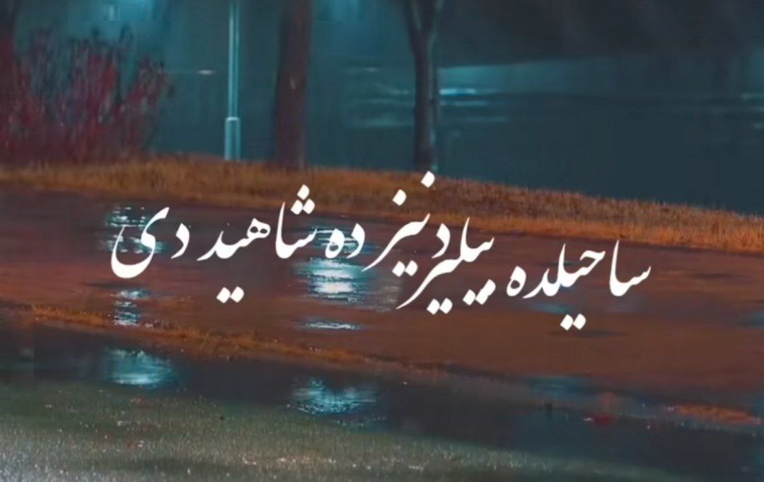  ساحیلده بیلیر دنیزده شاهدی